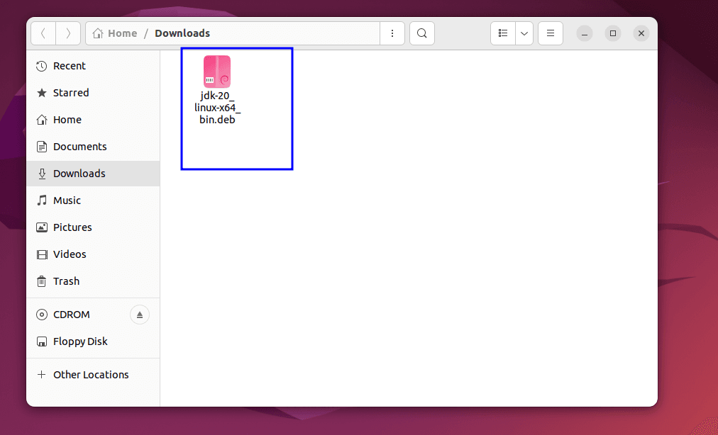 After downloading the file, you will see that the file name also contains the version name which is necessary, but if you think that would be troublesome to type later on, you can shorten the filename as well.