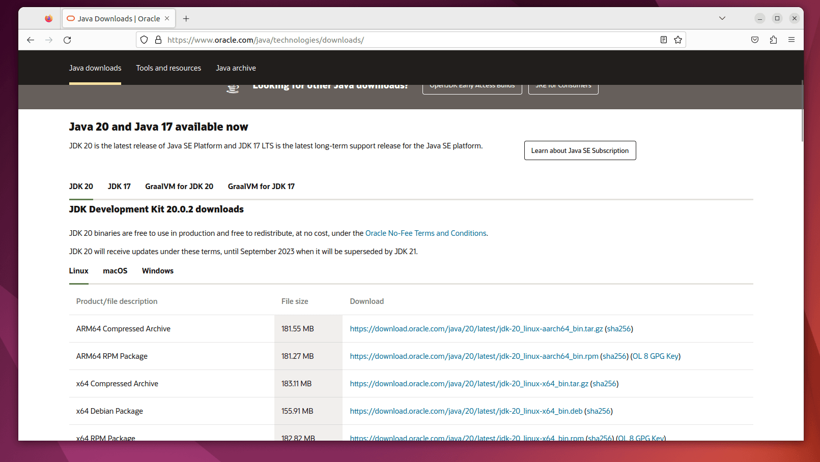 Click Download Java.