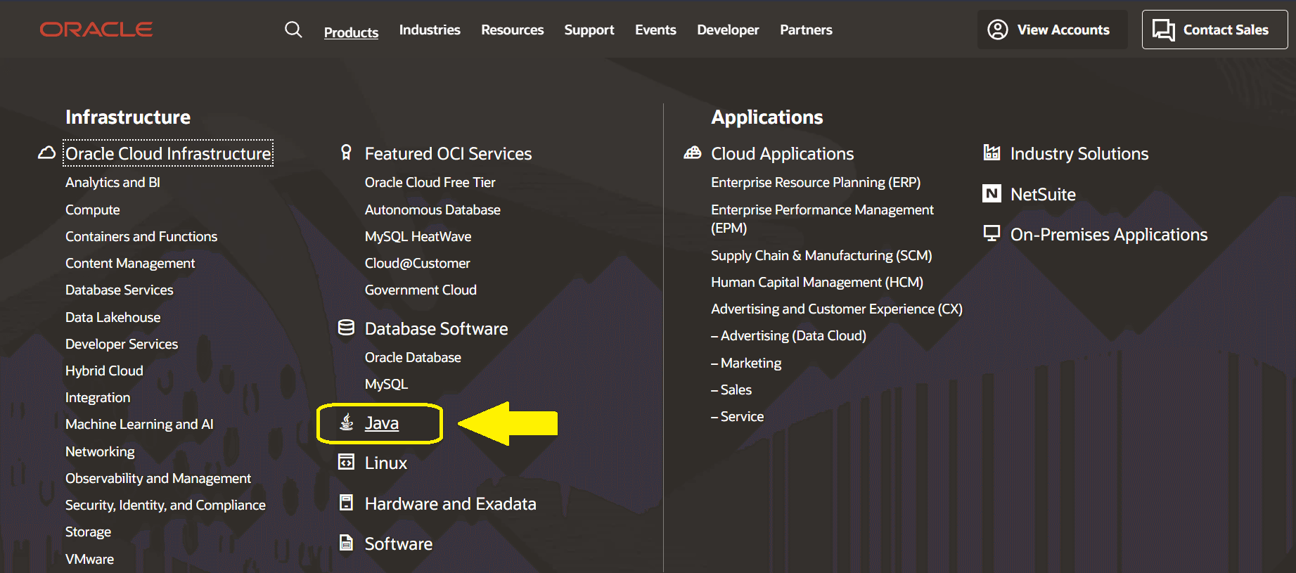 Then click Java.