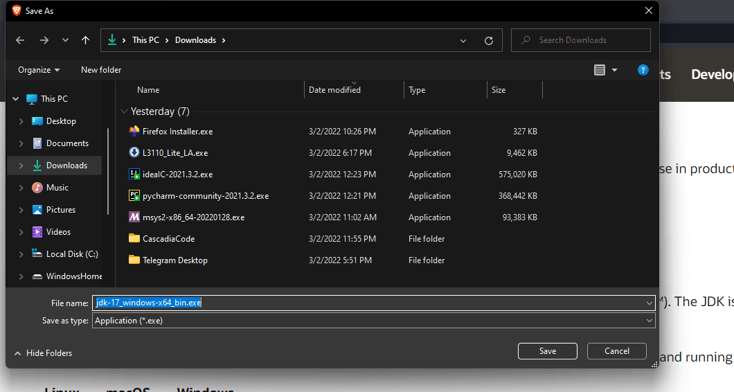 You will get a prompt to download the installer file.