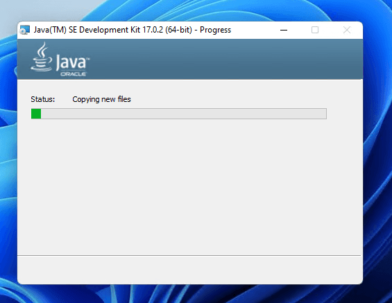 Finish the installation process.