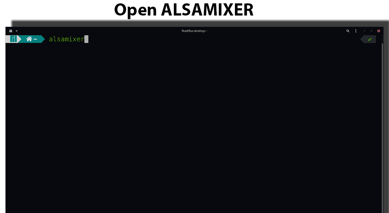 Type alsamixer and press the Enter key on your keyboard.