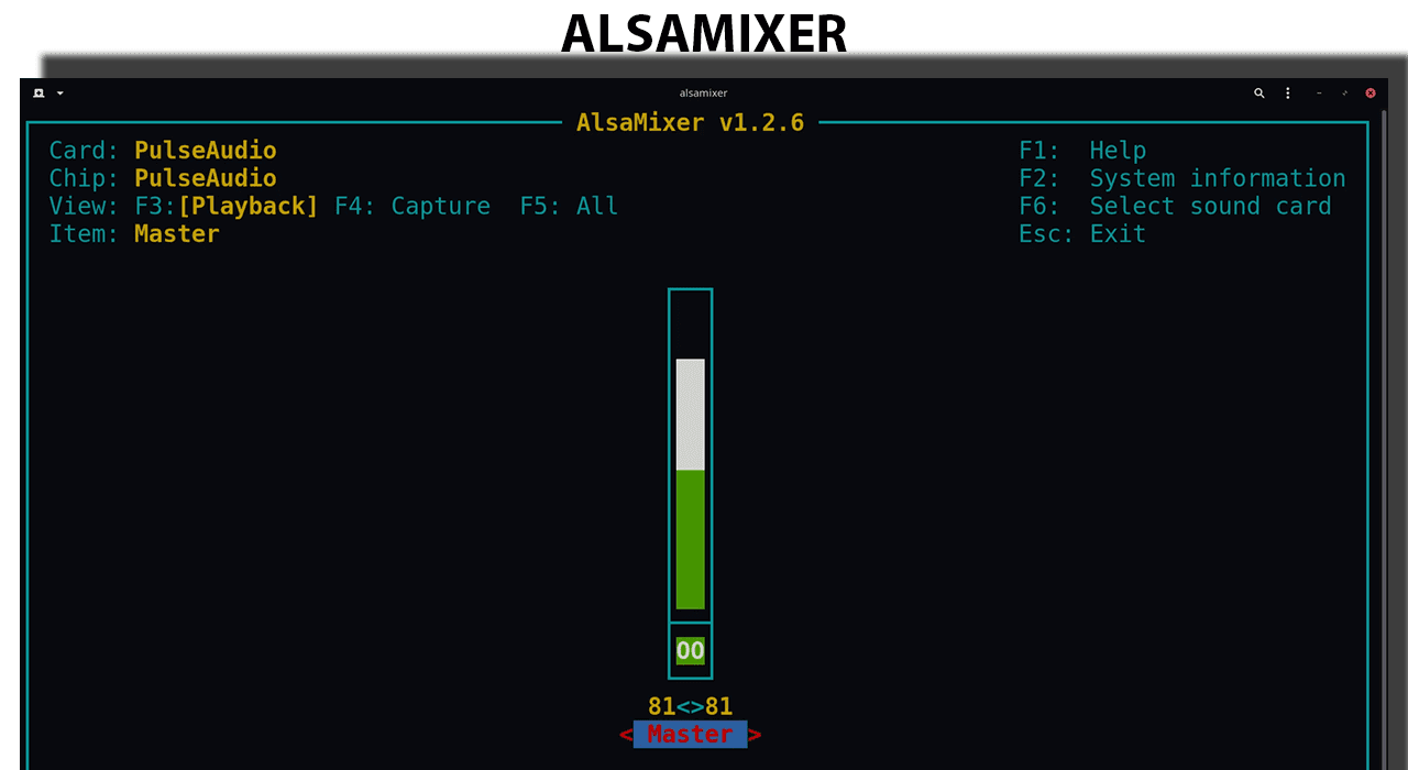 Alsamixer will open in your terminal.