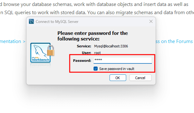 If you do not want to go into the same hassle of entering a password every time, check the box on save password in the vault. Click "OK".