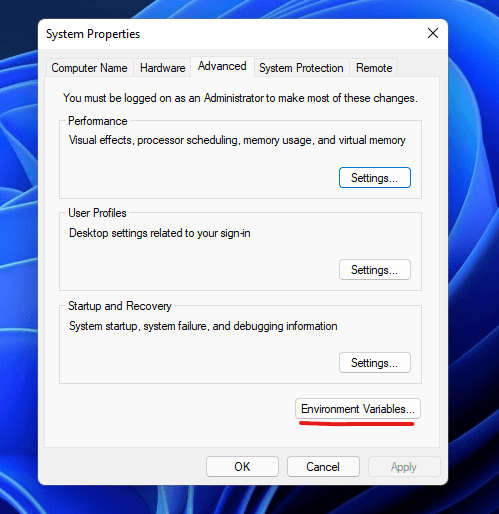 Click on Environment Variables.