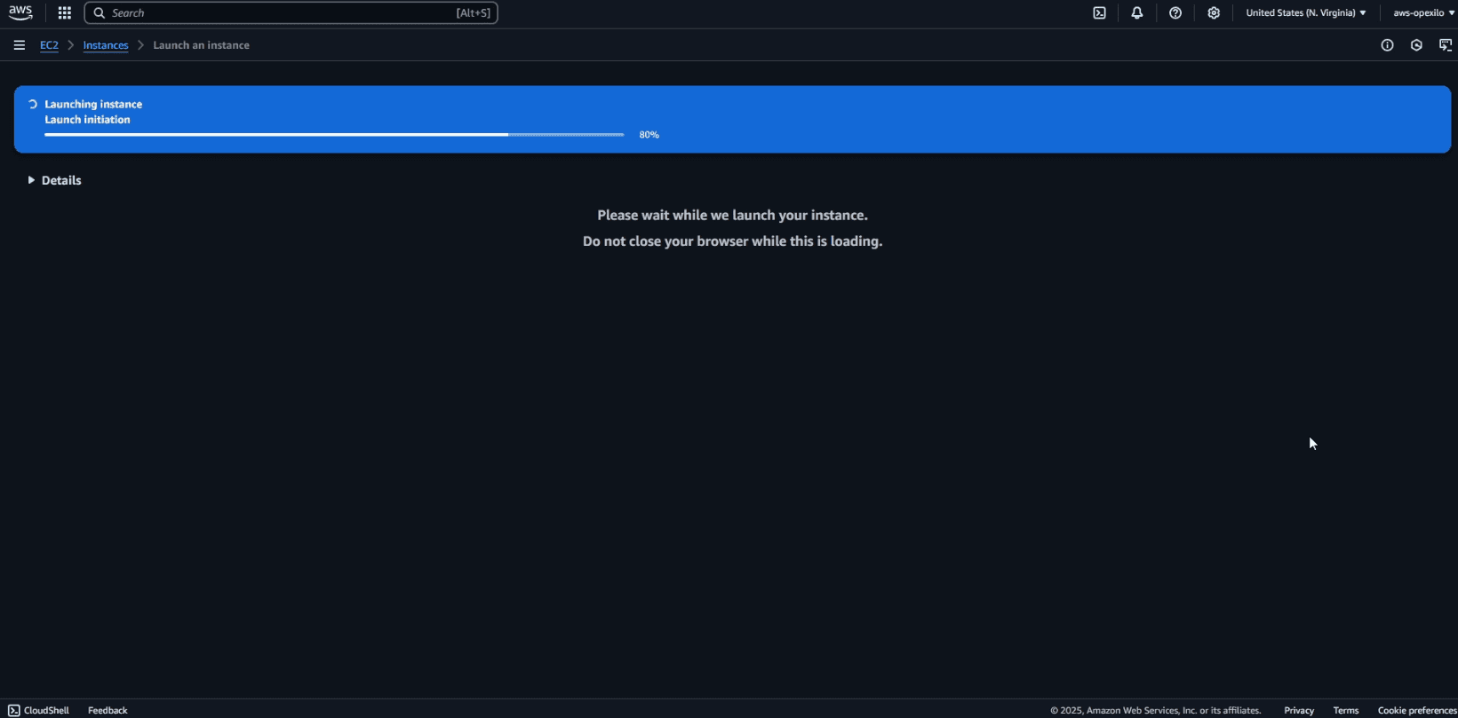 Launch instance