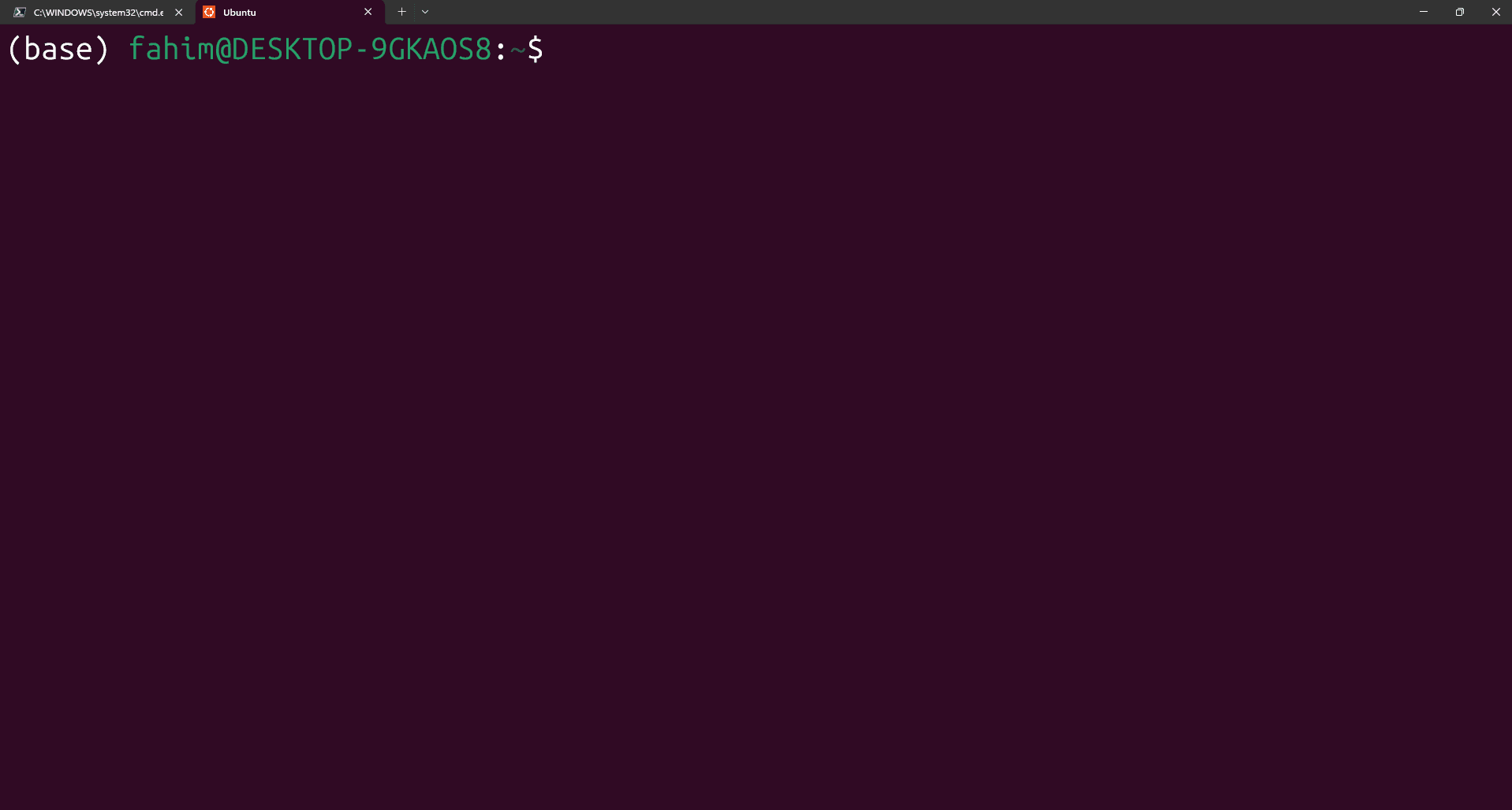 Preview of conda base environment in WSL Ubuntu terminal