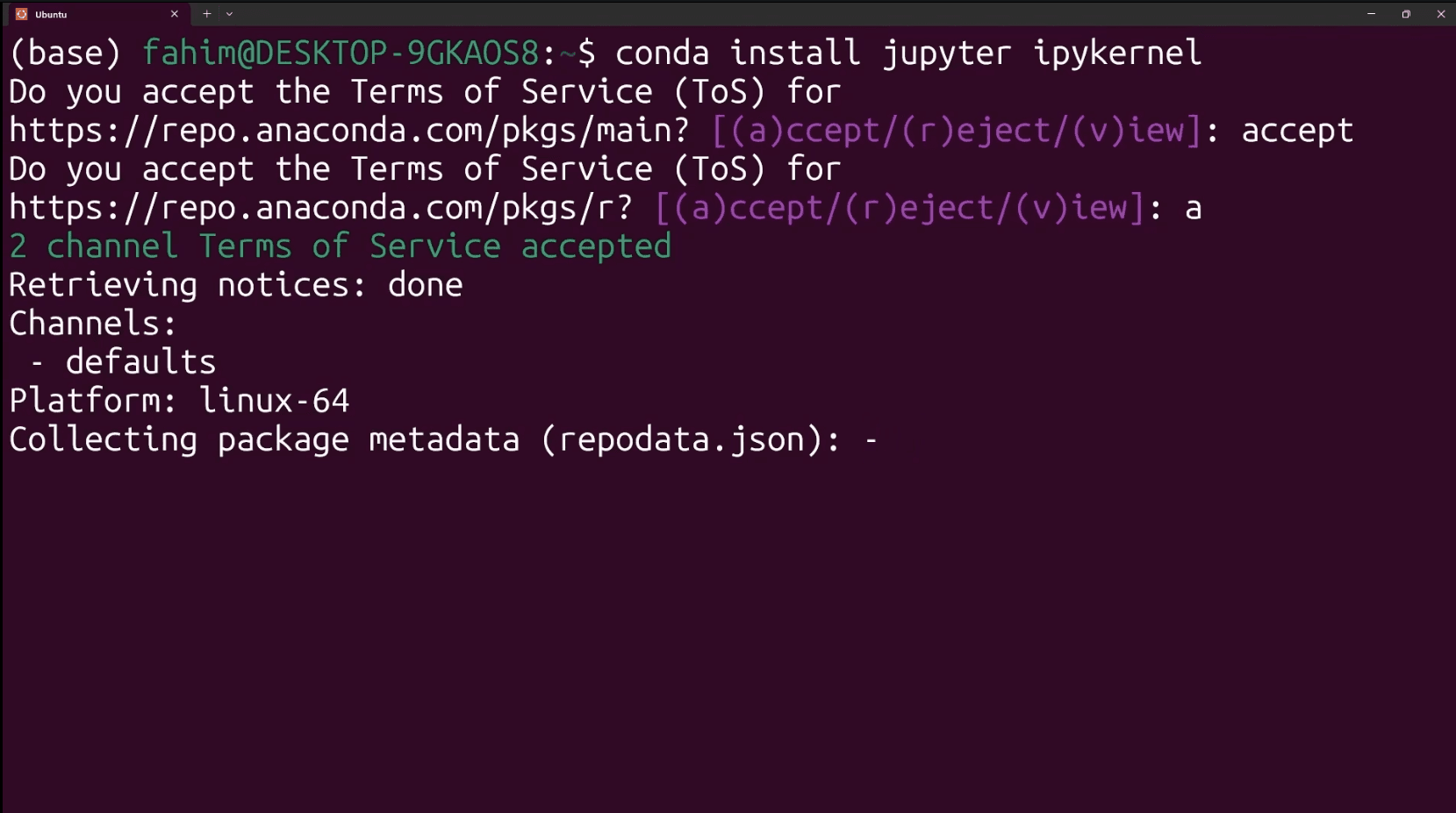 Preview of Jupyter and Ipykernel installation in WSL Ubuntu terminal
