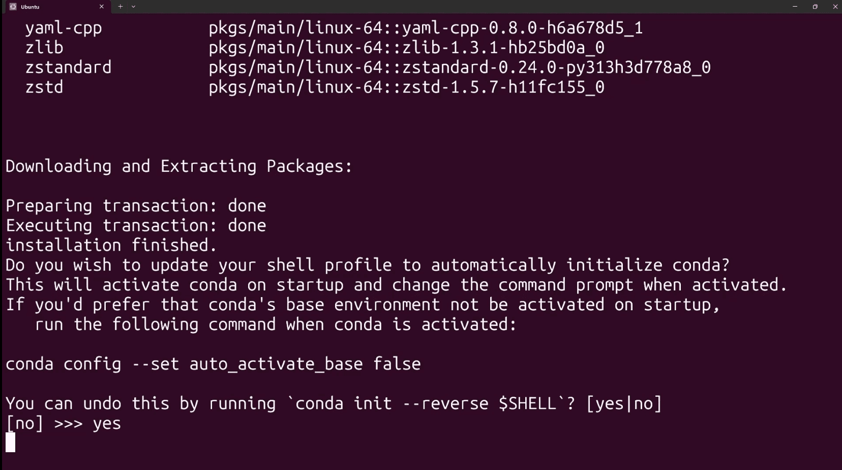 Preview of Miniconda initialization option during installation